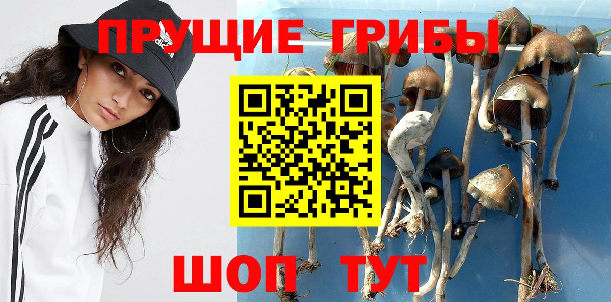 Галлюциногенные грибы ЛСД Мурманск