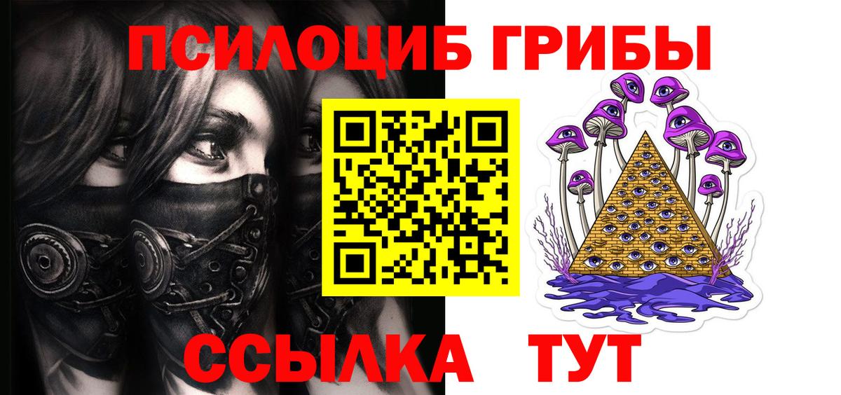 Мурманск  Галлюциногенные грибы Magic Shrooms  купить наркотик  Вход с VPN 