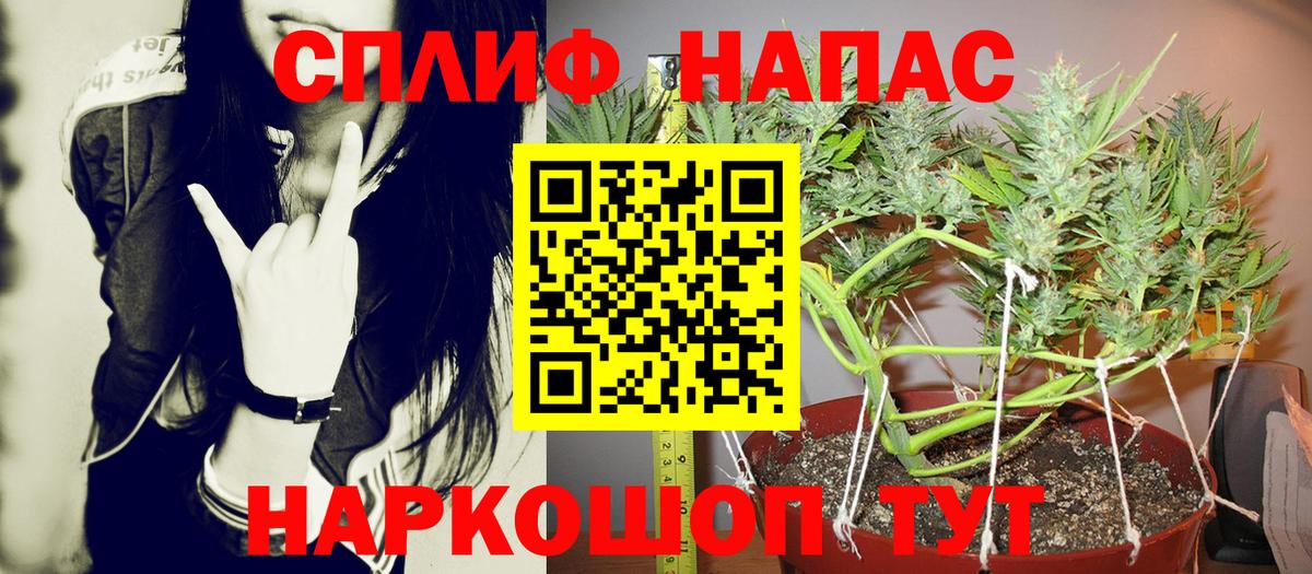 Конопля сатива Мурманск